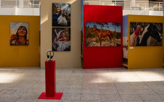 Romanistan: een theatrale zoektocht naar identiteit