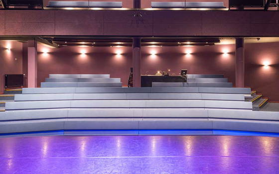 Theatre and film room